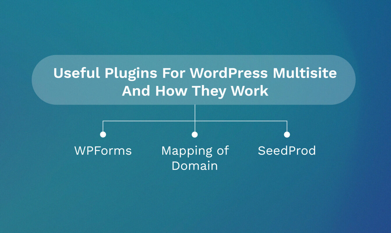 Plugins For WordPress Multisite 